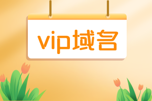 vip域名