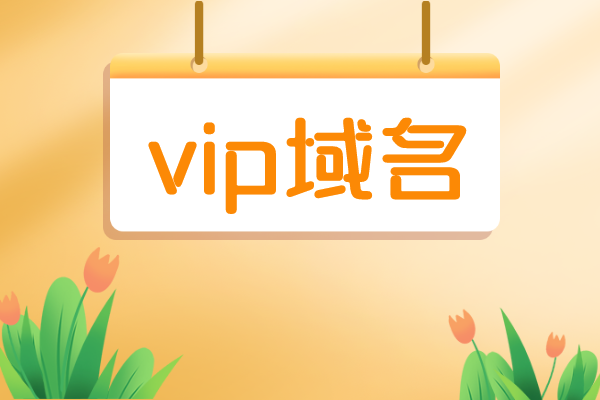 vip域名