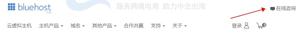 BlueHost在线咨询