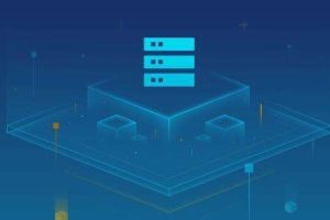 Hostwinds VPS服务器租用如何用PayPal付款
