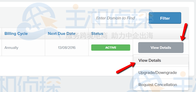 查看详细信息按钮