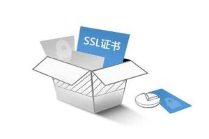 SSL证书颁发后是否支持多次下载和使用