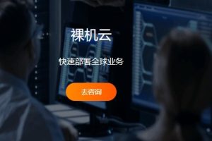 RAKsmart裸机云