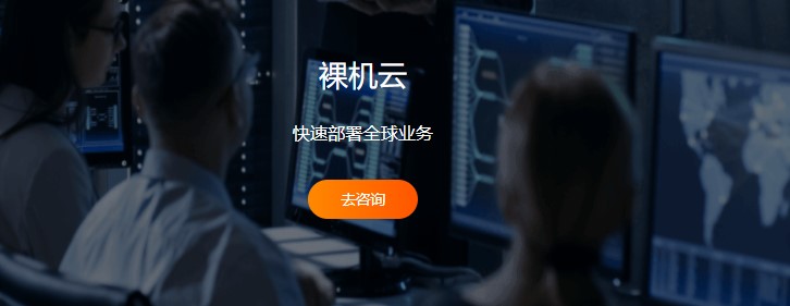 RAKsmart裸机云