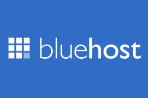 BlueHost香港主机访问速度怎么样