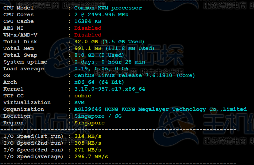 Megalayer新加坡原生IP VPS评测