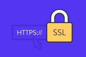 SSL域名证书价格一年多少钱