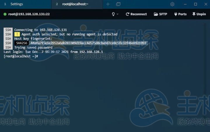 Tabby使用教程