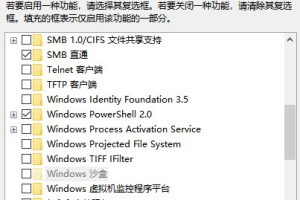 检查FTP21端口是否被占用
