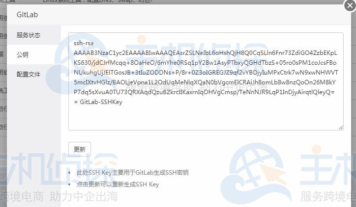 gitLab公钥