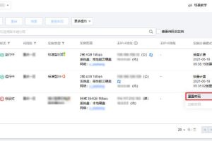 重置单台实例密码的步骤