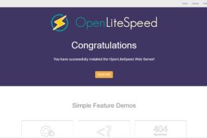 安装OpenLiteSpeed