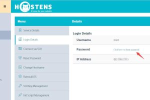 Hostens欧洲VPS远程连接信息