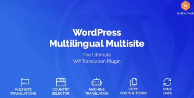 WordPress Multilingual Multisite