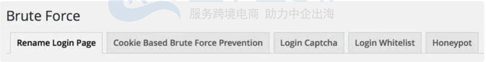 蛮力攻击预防选项