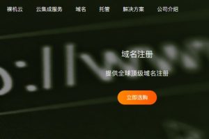 RAKsmart域名服务