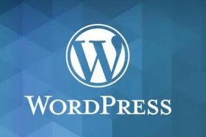 WordPress速度和性能优化的常用方法
