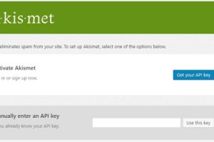 WordPress API密钥