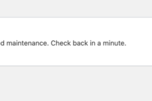 .maintenance文件
