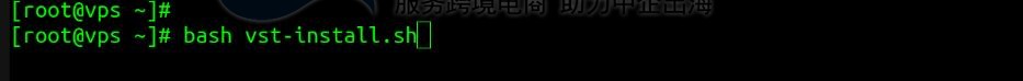 RackNerd国外VPS安装配置VestaCP面板