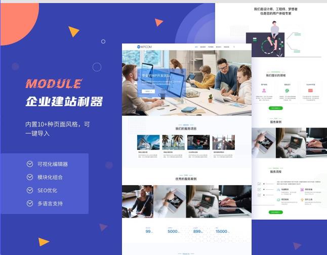Module主题