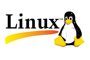 Linux w命令详解