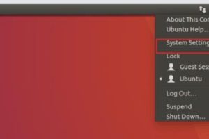 Ubuntu中文输入法安装