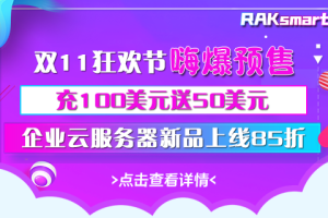 RAKsmart双11预售开启