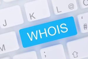 域名Whois查询