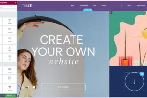 Elementor Pro
