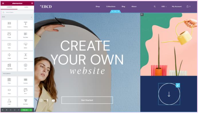 Elementor Pro