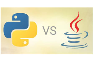 Java和Python哪个好