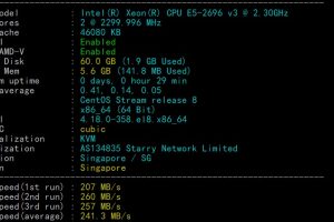 LOCVPS新加坡VPS速度和性能评测