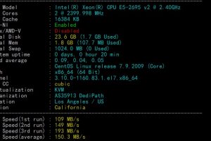 DediPath美国洛杉矶VPS主机速度和性能评测