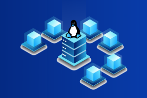 美国Linux虚拟主机推荐