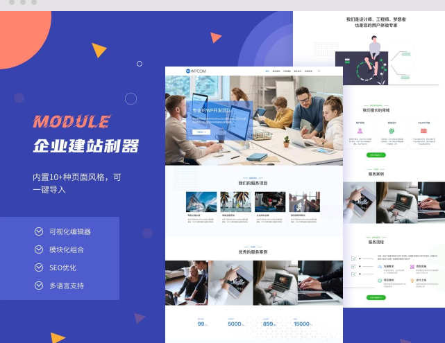 Module主题