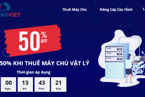 HostingViet越南服务器半价促销