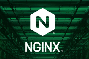 Nginx 1.24发布