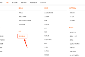 RAKsmart服务器
