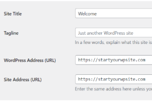 WordPress迁移后重定向到旧域