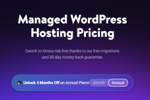 Kinsta WordPress主机