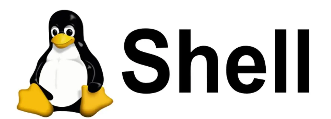 常用的Shell命令
