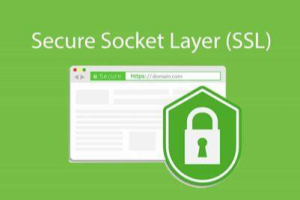 SSL证书是哪两个文件组成的