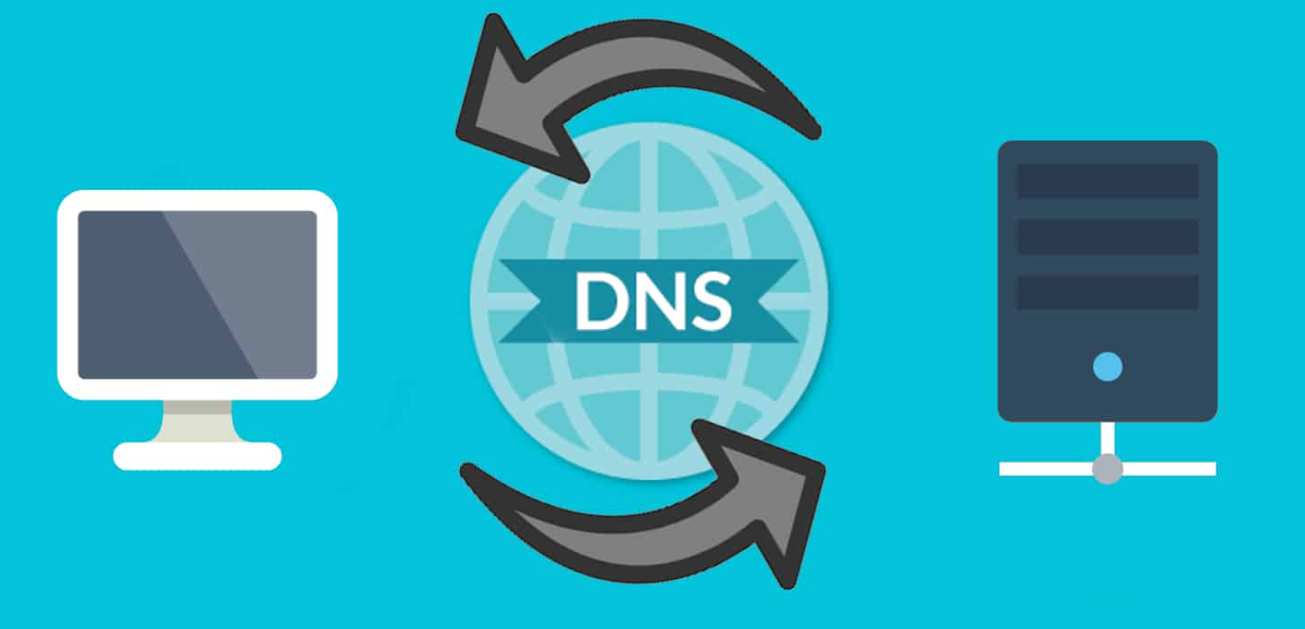 域名DNS