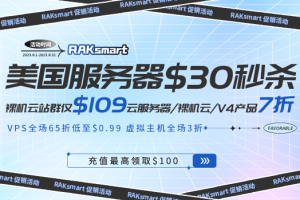 RAKsmart美国服务器活动