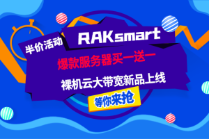 RAKsmart服务器半价活动