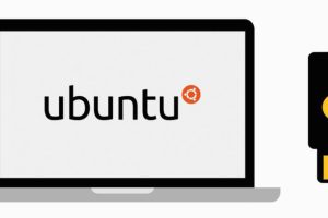 Ubuntu如何读取U盘