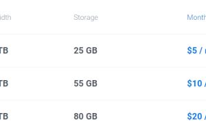Vultr VPS主机