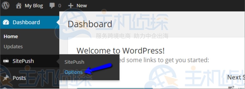 访问WordPress暂存选项