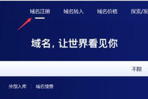 查询域名